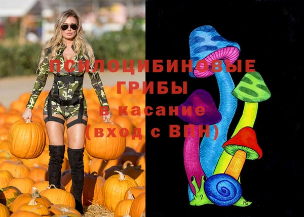 ешки Абинск